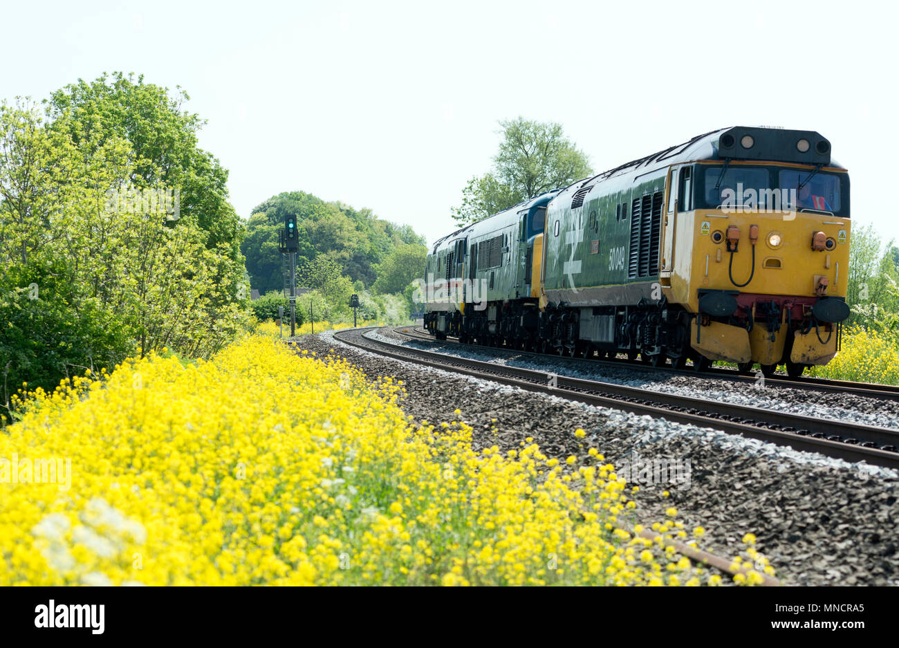 Preserved class 50 and class 45 diesel locomotives passing King`s Sutton, Northamptonshire, UK Stock Photo